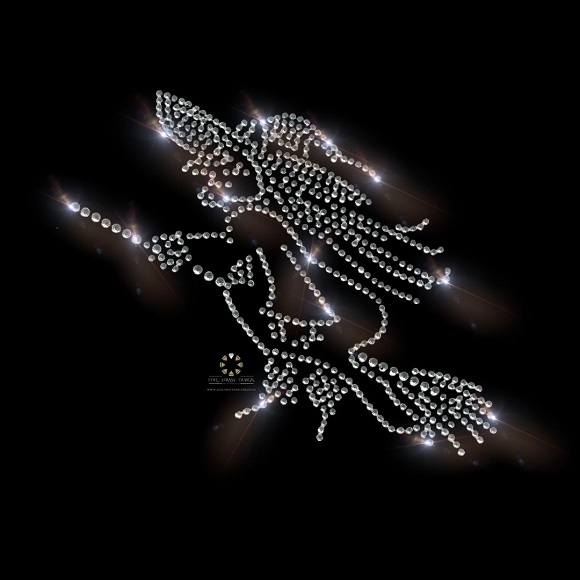 Strass Bügelbild Hexe auf Besen – Karneval Hotfix Applikation 120820