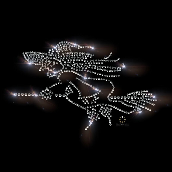 Strass Bügelbild Hexe auf Besen – Karneval Hotfix Applikation 120820