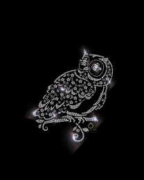 Eule Uhu Strass Bügelbild Applikation Motiv 190807
