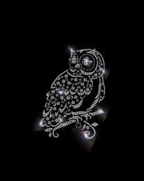 Eule Uhu Strass Bügelbild Applikation Motiv 190807