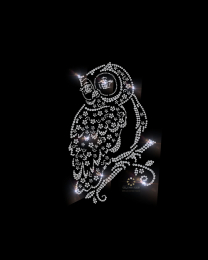 Eule Uhu Strass Bügelbild Applikation Motiv 190807