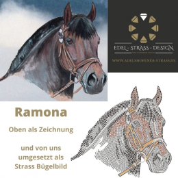 Strass Applikation individuell Ramona Stute nach Zeichnung gefertigt. unverkäuflich