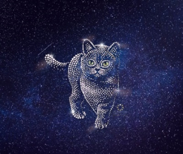 Hotfix Strass Bügelmotiv Bügelbild Katze 241002 Strass Bügelapplikation