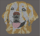 Bügelbild Strass Golden Retriever Goldy
