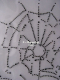 Hotfix Strass Spinnennetz Spider Schwarz oder Chrystal 110917