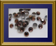 1440 Studs 2mm Braun