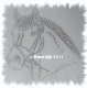 Bügelmotiv Strass hübscher Pferdekopf Reiten Chrystal 120318