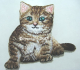 Applikation Hotfix Bügelbild Katze Kätzchen B 15657-002