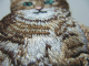 Applikation Hotfix Bügelbild Katze Kätzchen B 15657-002