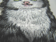 Applikation Hotfix Bügelbild Katze Kätzchen A 15570-001