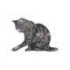 Hotfix Bügelbild Metallstuds Cat Katze Tigerkätzchen 130814
