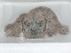 Strass Bügelbild Hund Cavalier King Charles Spaniel Blenheim 130823