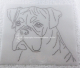 Hotfix Strass Bügelbild Hund Boxer Kopf 140421 – Glitzer Applikation