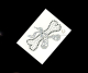 Hotix Strass Bügelbilder Applikation kl. Knochen mit Schleife 240516 Strass AB