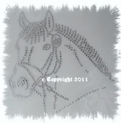 Bügelmotiv Strass hübscher Pferdekopf Reiten Chrystal 120318