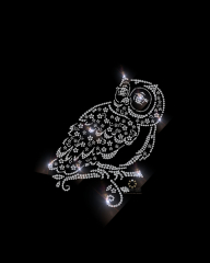 Eule Uhu Strass Bügelbild Applikation Motiv 190807